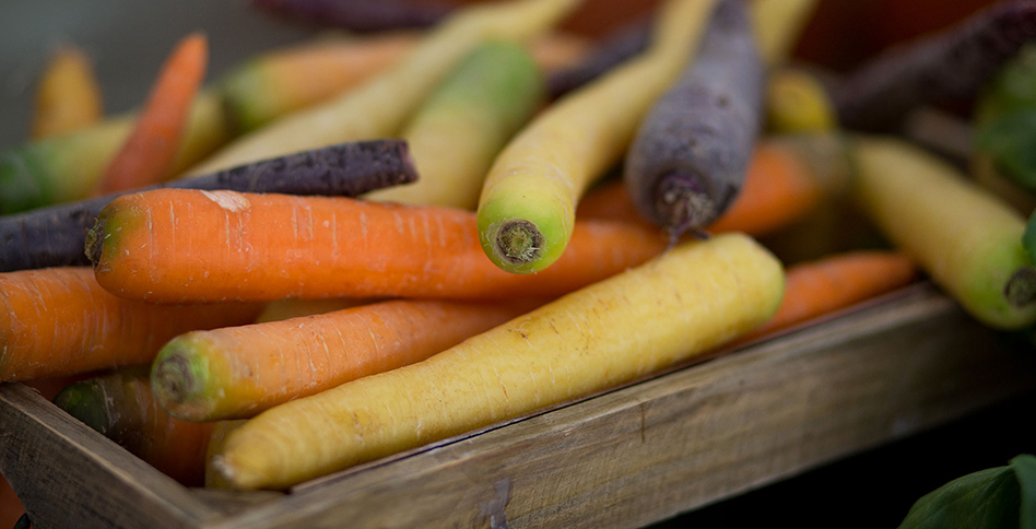 Multi-colored carrots in a bin