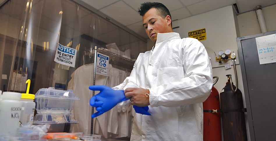 Lab worker putting on latex gloves