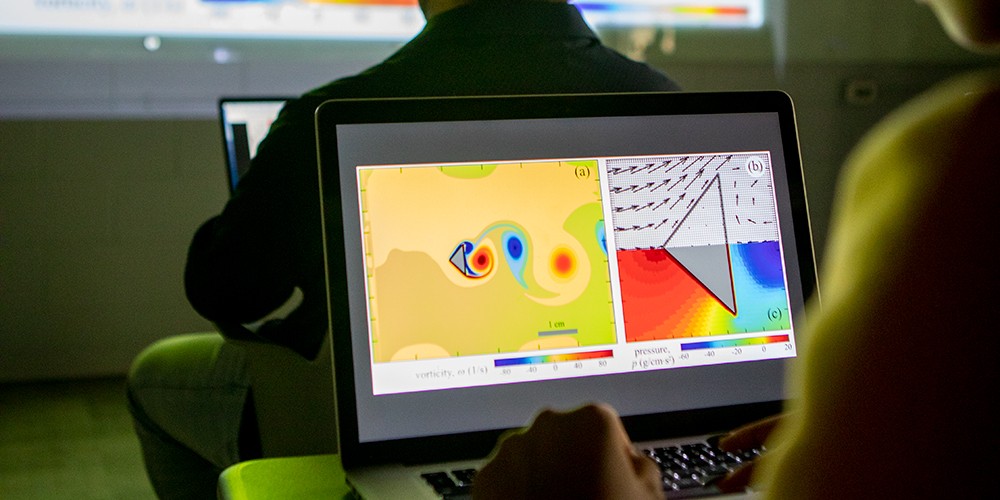 Computer diagram on screen