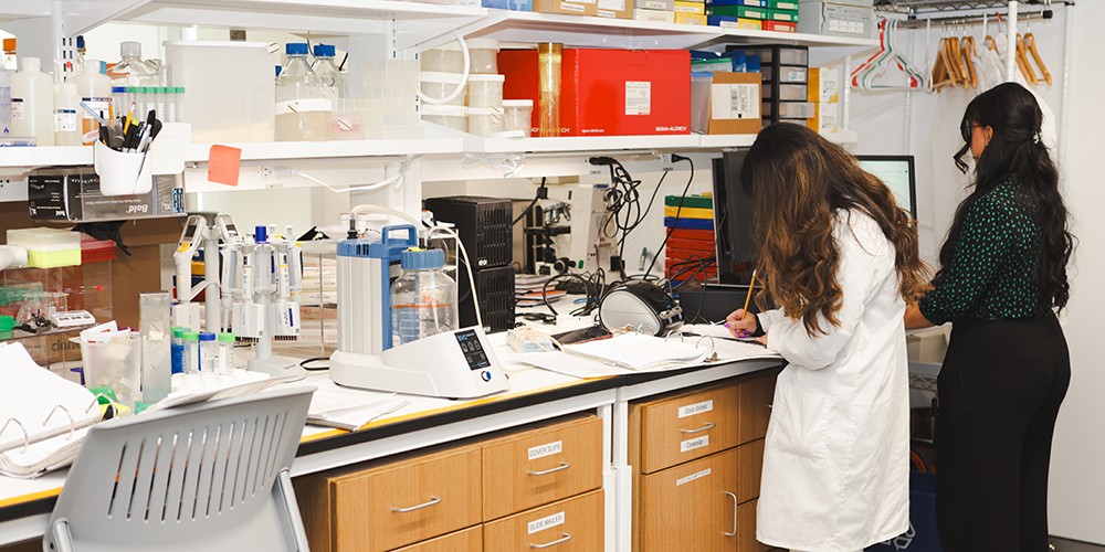 Researchers working with lab equipment