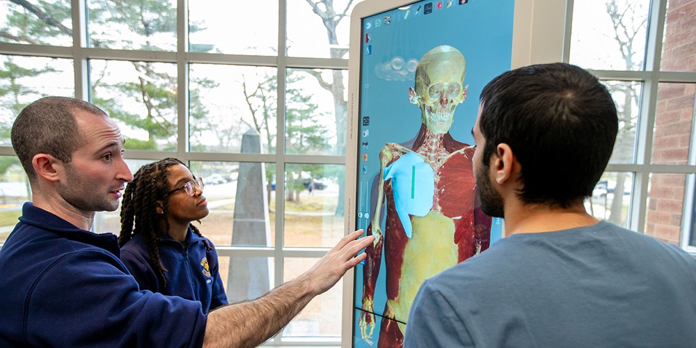 Student and teacher looking at digital model