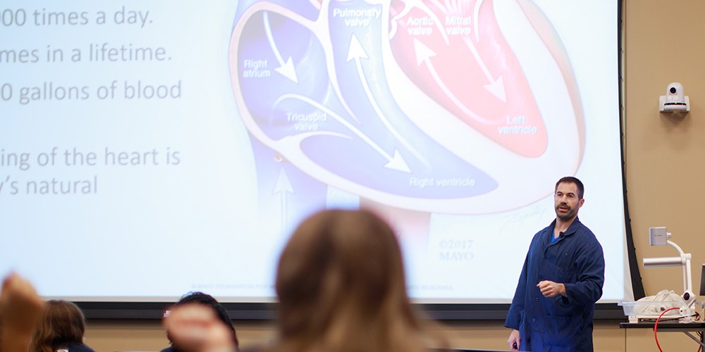 Faculty showing the heart on a screen